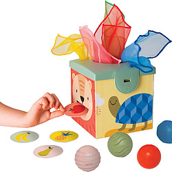 Boite magique d'apprentissage Taf Toys