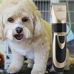 Tondeuses à Cheveux pour Chiens Tondeuses à Cheveux Silencieuses électriques Rechargeables Sans Fil à Faible Bruit pour Chiens Chats Fournitures de So pas cher