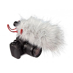 Avis VidéoMic Rycote Rode