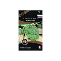 Sanrival Graines potagères premium chou Chou brocoli Marathon