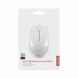 Souris Optique Sans Fil Lenovo GY51L15677 Gris 1000 dpi pas cher