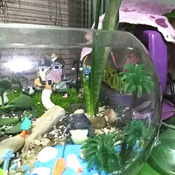 plantes artificiel aquarium