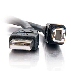 Avis Cables To Go C2G Câble USB 2.0 A/B de 1 M - Noir