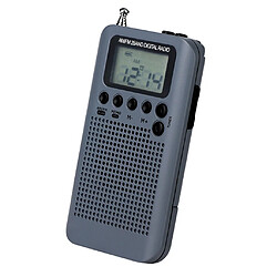 Acheter suis fm radio portable gris