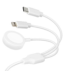 Avizar Câble USB-C vers USB-C et Lightning et Chargeur Magnétique Intensité 2A Blanc