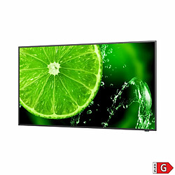 Écran NEC 60005052 49" IPS LED pas cher