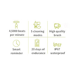 Universal Brosse à dents acoustique Brosse à dents électrique pour adultes Remplacement d &'une tête de brosse électrique à ultrasons Brosse à dents Brosse électrique dentaire(blanche) pas cher