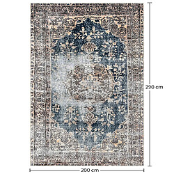 ICONIK INTERIOR Tapis Oriental Vintage - (290x200 cm) - Areha Multicolore