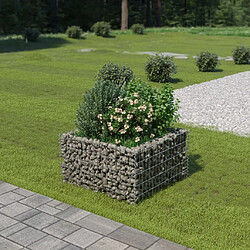 Maison Chic Jardinière,Lit surélevé - Bac à fleurs - pot de fleur à gabion Acier galvanisé 90x90x50 cm -GKD27973