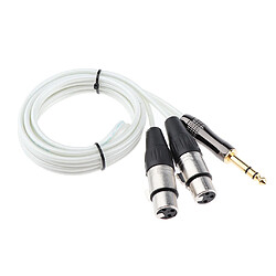 Remplacement du câble audio 6.35mm mâle vers dual xlr femelle pour haut-parleur 150cm