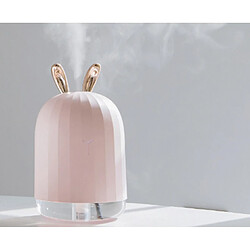 Acheter YP Select Mini-humidificateur USB monté sur véhicule en forme de dessin animé - Lapin rose