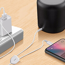 Avis Câble iPhone 2 en 1 avec Charge et Audio Longueur 1,2m LinQ Blanc