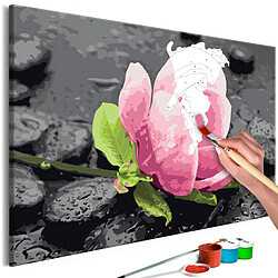 Decoshop26 Tableau à peindre soi-même peinture par numéros motif Fleur rose et pierres 60x40 cm TPN110131