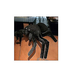 Universal Araignée noire mignonne en peluche de poupée hauteur molle en peluche en peluche (25 * 40cm)