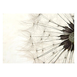 Artgeist Papier peint - White Dandelion [147x105]