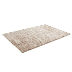 Vente-Unique Tapis shaggy à poils longs ultra doux - 120 x 170 cm - Taupe reflet beige - DOLCE