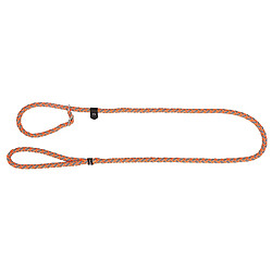 Kerbl Maxi Safe Laisse de Promenade pour Chien Orange Néon 170 cm