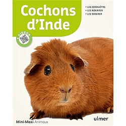 Cochons d'Inde : les connaître, les nourrir, les soigner - Occasion