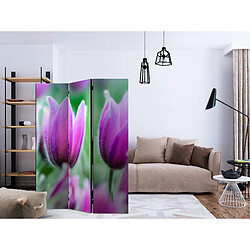 Artgeist Paravent - Purple spring tulips [Room Dividers] [135x172]