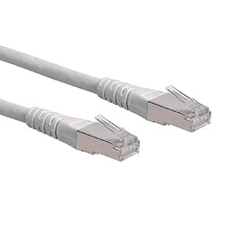 Fox Pathé Europa ROLINE Câble Patch S/FTP (PiMF) catégorie 6, gris 1m (ROLINE S/FTP PatchCord Cat6. grey. 1m)