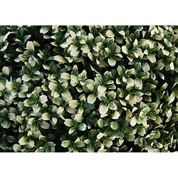 Mendler Arbuste artificiel HWC-L77, boule de buis plante décorative boule de buis plante artificielle Buxus, Outdoor Ø 55cm ~ blanc