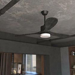 Acheter Cecotec Ventilateur de plafond EnergySilence Aero 5290 Stone Pro