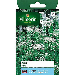 Vilmorin 5871546 Pack de Graines Anis Vert