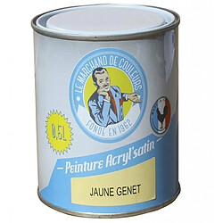 Peinture acrylique - Murs et plafonds - Satin - Jaune genêt - 0.5 L - ONIP