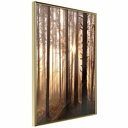 Paris Prix Affiche Murale Encadrée Morning in the Forest 20 x 30 cm Or