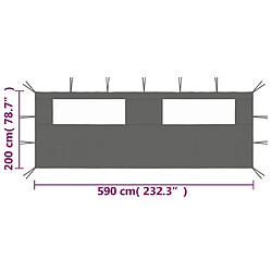 Acheter vidaXL Paroi latérale de belvédère avec fenêtres 6x2 m Anthracite