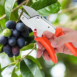 Ciseaux de jardinage Sécateur de jardin Arbre fruitier Ciseaux de fleuriste Sécateur à main Outils de jardinage