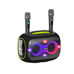 Yonis Enceinte Bluetooth Puissante Karaoke Portable