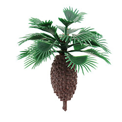 Mini Bottlepalm arbre vert pas cher