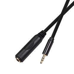 Adaptateur En Cuivre Pur Jack Audio Stéréo 3,5 Mm Mâle à 6,35 Mm Femelle 0,3 Mètre pas cher