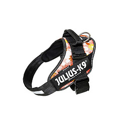 Julius-K9 IDC-Power Harnais pour Chien Rose Fleuri Taille 1