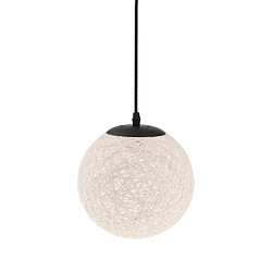 Avis Rotin en osier tissé ballon globe plafonnier lampe lampe abat-jour 20cm blanc