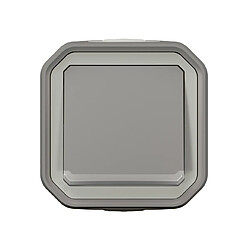 va et vient - 10a - témoin - gris - saillie - legrand plexo 069712l