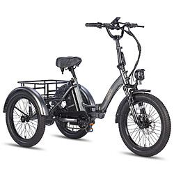 FAFREES F20 Mate Vélo Électrique - Moteur 500W Batterie 48V18.2AH Assisted Autonomie 110KM Freins Hydrauliques - Gris