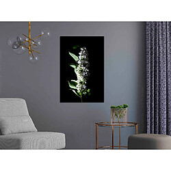 Artgeist Tableau - White Lilacs (1 Part) Vertical [80x120]