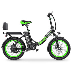 Avis Hidoes HD-C1 Vélo Électrique - Moteur 750W Batterie 48V13AH Pneus de 20 Pouces - Vert