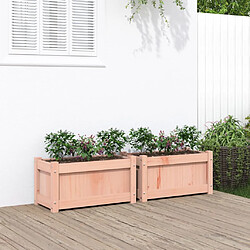 vidaXL Jardinières 2 pcs bois massif douglas