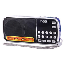 Wewoo Y-501 haut-parleur portatif de radio de FM AM de salut-Fi, batterie rechargeable de Li-ion, lumière de LED, supportent la carte micro de TF / joueur d'USB / MP3