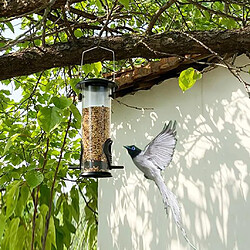 Avis Tube transparent Mangeoire à Oiseaux avec 2 L'alimentation des Ports, premium Dur En Plastique En Plein Air Mangeoire à Oiseaux Cintre Suspendus