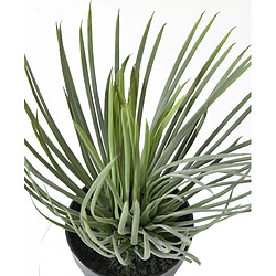 Pegane Plante artificielle haute gamme Spécial extérieur / YUCCA Artificiel - Dim : 40 x 30 cm