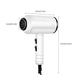 Universal 1500W Professionnel Portable Mini Sèche-cheveux Sèche-cheveux Brossette Professionnelle Sèche-cheveux Sèche-cheveux Voyage | Sèche-cheveux (Blanc)