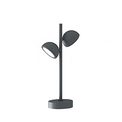 Avis Luminaire Center Borne de jardin Everest Anthracite 2 ampoules 45cm