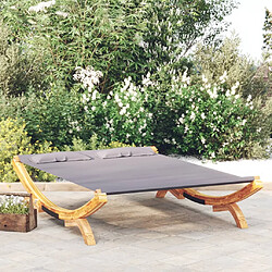 vidaXL Lit de repos extérieur 165x188,5x46 cm Bois courbé Anthracite