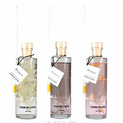 Paris Prix Lot de 3 Diffuseurs de Parfum Botanica 240ml Multicolore