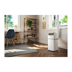 Climatiseur mobile PAC ES72 DELONGHI - 2100W - Ventilateur et déshumidificateur - Gaz R290 - 8 300 Btu/h