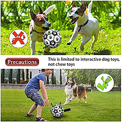 Jouets Interactifs Football pour Chien avec Pattes d'Attraction Balles Durables pour Chien de Petite et Moyenne Race Jouet d'Eau pour Chien Intérieur et Extérieur